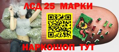 индика Канаш