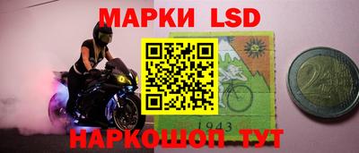 амф Камышлов