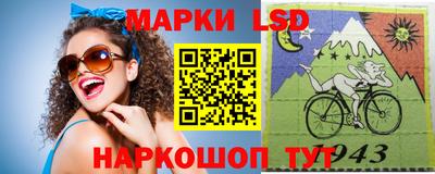 амф Камышлов