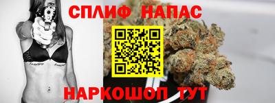 индика Канаш