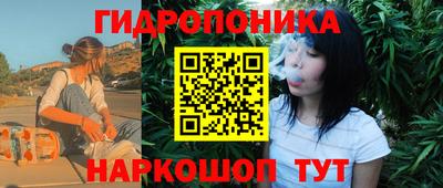 индика Канаш