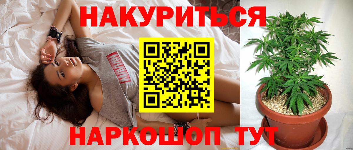 Канабис Amnesia Кубинка
